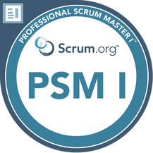 Professional Scrum Master